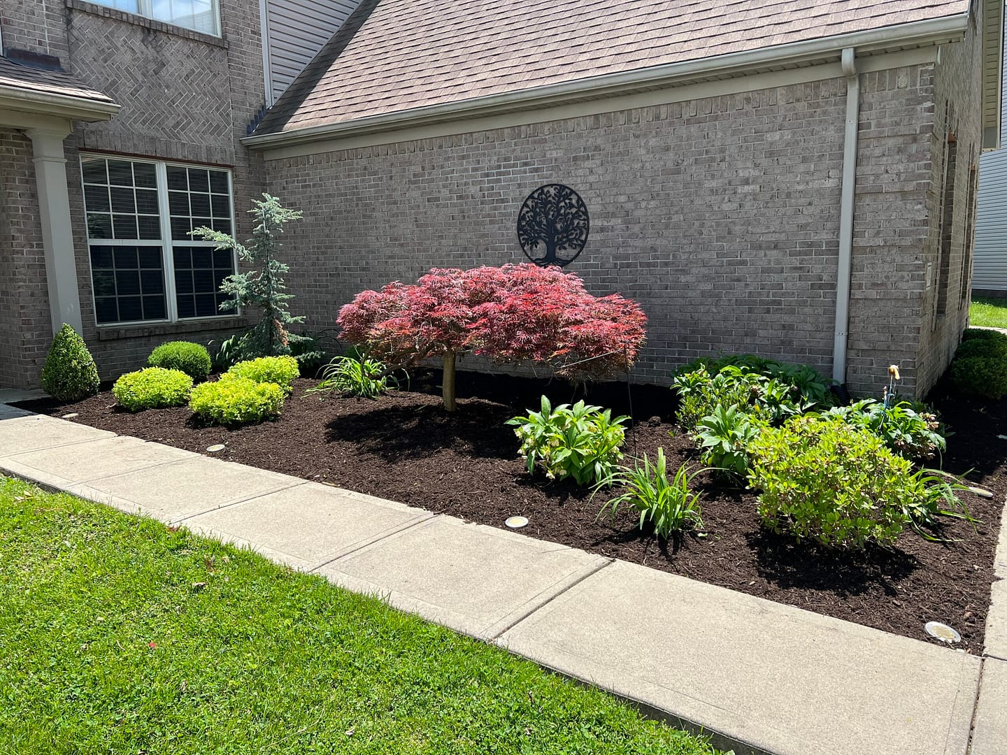 landscaping-lexington-ky