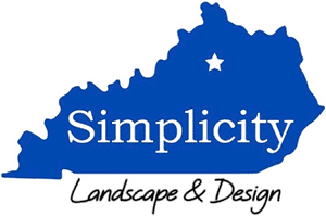 Simplicity Logo transparent
