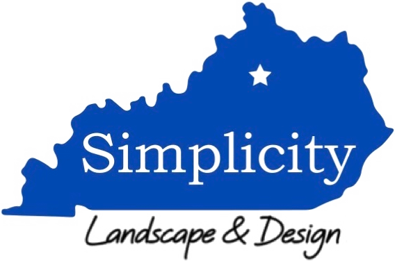 Simplicity Logo transparent